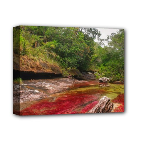 Cano Cristales 1 Deluxe Canvas 14  X 11  by trendistuff