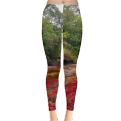 Cano Cristales 1 Women s Leggings by trendistuff