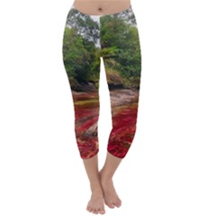 Cano Cristales 1 Capri Winter Leggings  by trendistuff