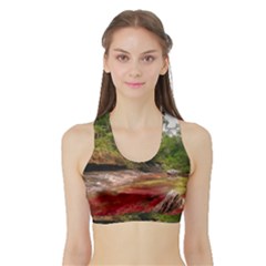 Cano Cristales 1 Women s Sports Bra With Border