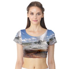 Yellowstone Castle Short Sleeve Crop Top by trendistuff