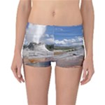 YELLOWSTONE CASTLE Reversible Boyleg Bikini Bottoms