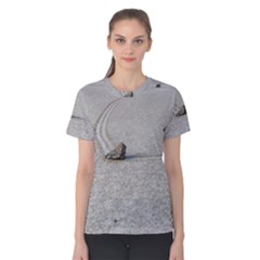 Sailing Stones Women s Cotton Tee