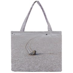 Sailing Stones Tiny Tote Bags