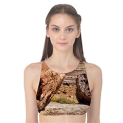 Petrified Desert Tank Bikini Top