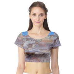 Painted Desert Short Sleeve Crop Top