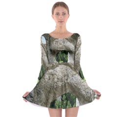 Limestone Formations Long Sleeve Skater Dress