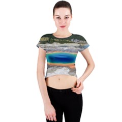 Grand Prismatic Crew Neck Crop Top