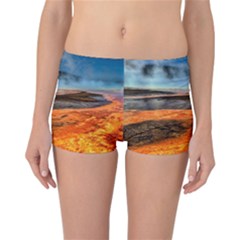 Fire River Reversible Boyleg Bikini Bottoms