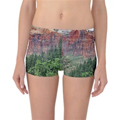 Upper Emerald Trail Reversible Boyleg Bikini Bottoms