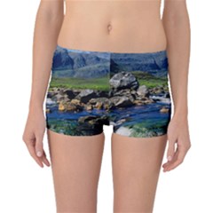 The Clisham Boyleg Bikini Bottoms