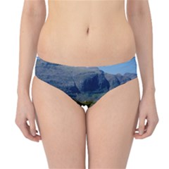 The Clisham Hipster Bikini Bottoms