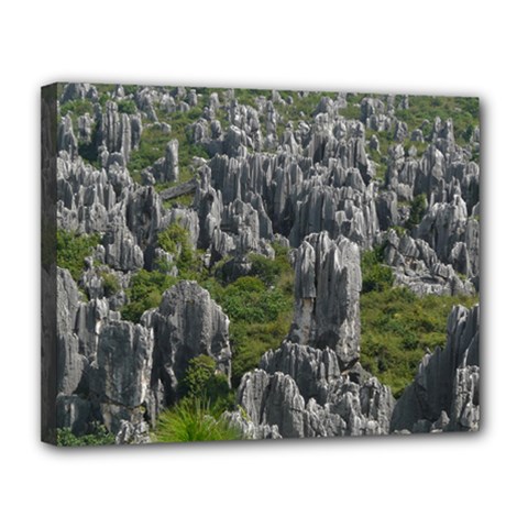 Stone Forest 1 Canvas 14  X 11  by trendistuff