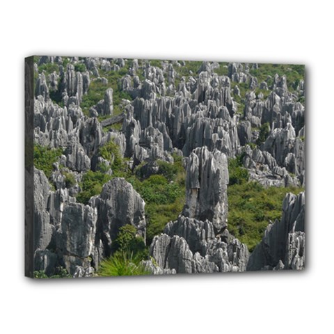 Stone Forest 1 Canvas 16  X 12 