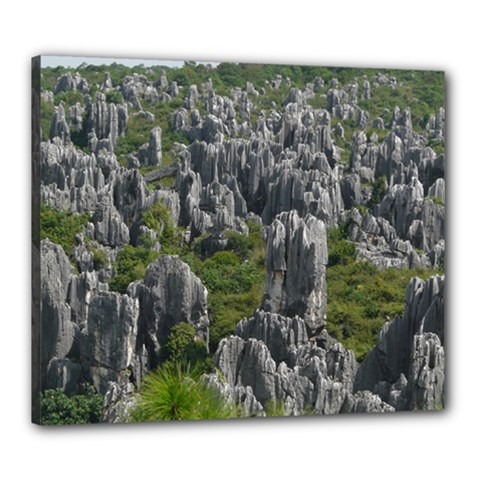 Stone Forest 1 Canvas 24  X 20 