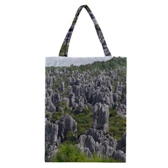 Stone Forest 1 Classic Tote Bags by trendistuff