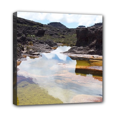 Mount Roraima 1 Mini Canvas 8  X 8  by trendistuff