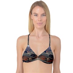 Grand Canyon 2 Reversible Tri Bikini Tops