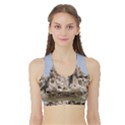 CAPPADOCIA 1 Women s Sports Bra with Border View1