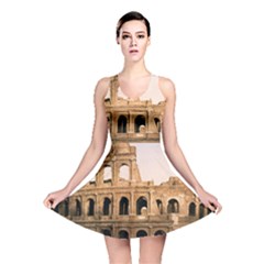 Rome Colosseum Reversible Skater Dresses