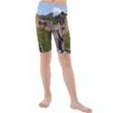 GREAT WALL OF CHINA 3 Kid s Mid Length Swim Shorts View1