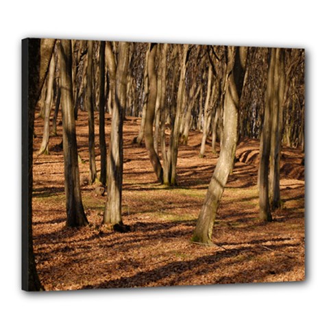 Wood Shadows Canvas 24  X 20  by trendistuff