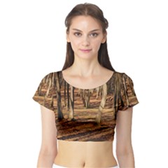 Wood Shadows Short Sleeve Crop Top