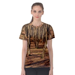 Wood Shadows Women s Sport Mesh Tees