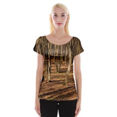 Wood Shadows Women s Cap Sleeve Top