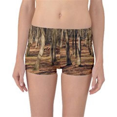 Wood Shadows Boyleg Bikini Bottoms by trendistuff