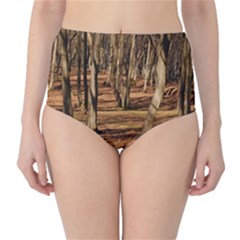 Wood Shadows High-waist Bikini Bottoms