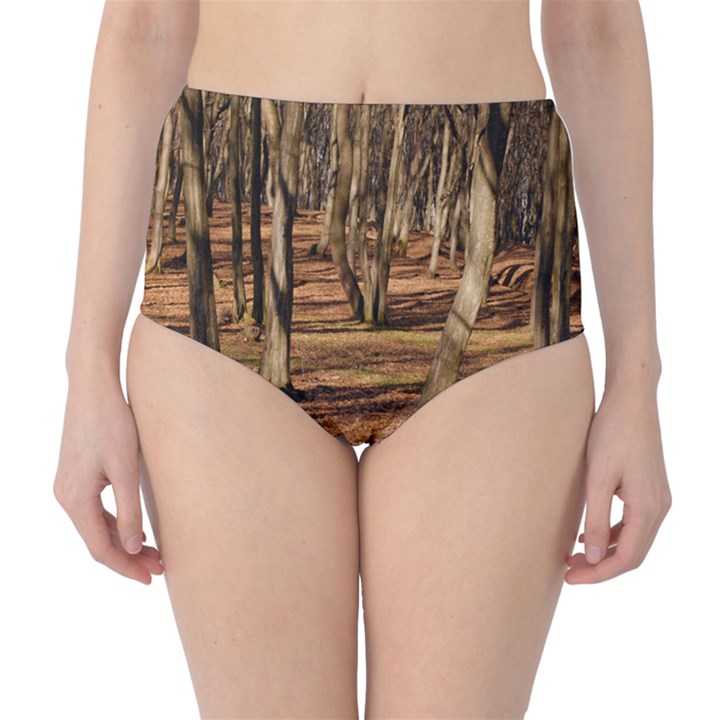 WOOD SHADOWS High-Waist Bikini Bottoms