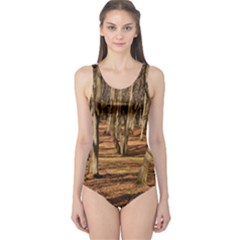 Wood Shadows One Piece Swimsuit