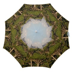 Socotra, Yemen Straight Umbrellas by trendistuff