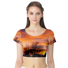 Orange Sunset Short Sleeve Crop Top