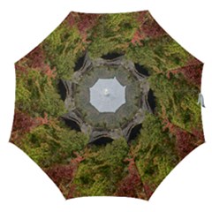 Natural Arch Straight Umbrellas by trendistuff