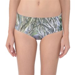 Dark Hedges, Ireland Mid-waist Bikini Bottoms