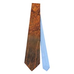 Beautiful Autumn Day Neckties (two Side)  by trendistuff