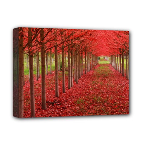 Avenue Of Trees Deluxe Canvas 16  X 12  