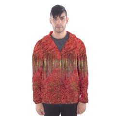 Avenue Of Trees Hooded Wind Breaker (men)