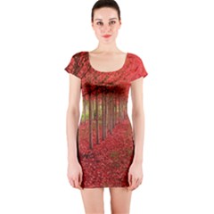 Avenue Of Trees Short Sleeve Bodycon Dresses by trendistuff