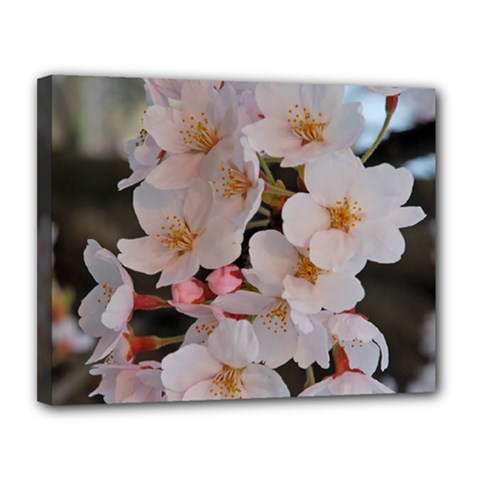 Sakura Canvas 14  X 11  by trendistuff