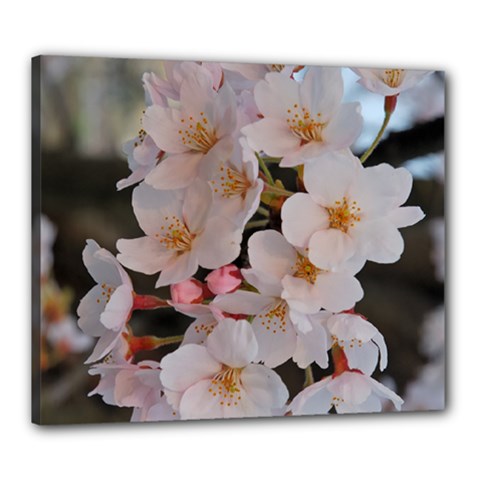 Sakura Canvas 24  X 20  by trendistuff