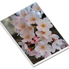 Sakura Large Memo Pads