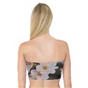 SAKURA Women s Bandeau Tops View2