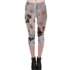 Sakura Capri Leggings