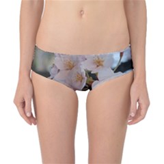 Sakura Classic Bikini Bottoms