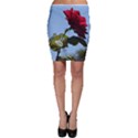 RED ROSE 2 Bodycon Skirts View1