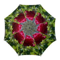 Red Rose 1 Golf Umbrellas by trendistuff