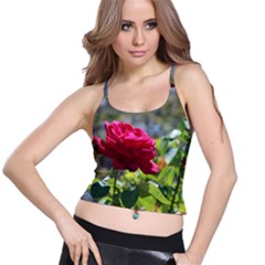 Red Rose 1 Spaghetti Strap Bra Tops